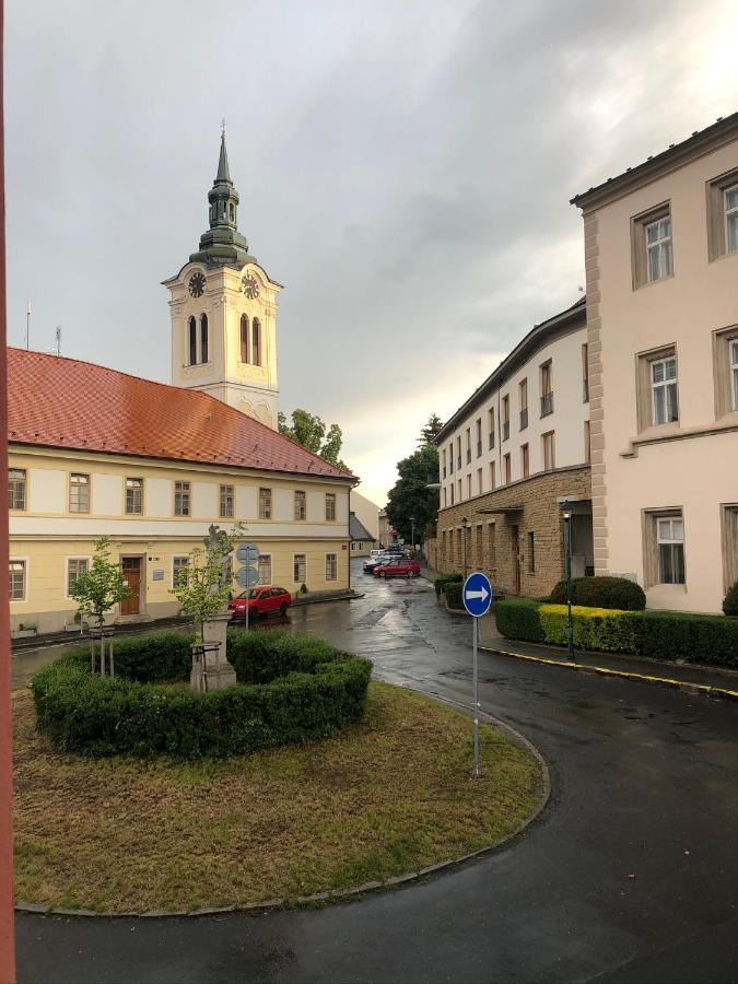 Villa Magdalena Kutná Hora Buitenkant foto