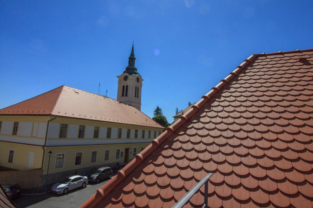 Villa Magdalena Kutná Hora Buitenkant foto